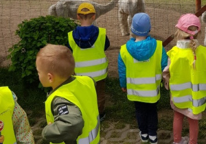 Przedszkolaki oglądają alpaki